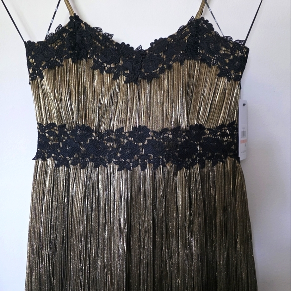 DKNY Women's Pleated Metallic Lace-Trim Sleeveless Gown Sz 2 - Picture 4 of 13